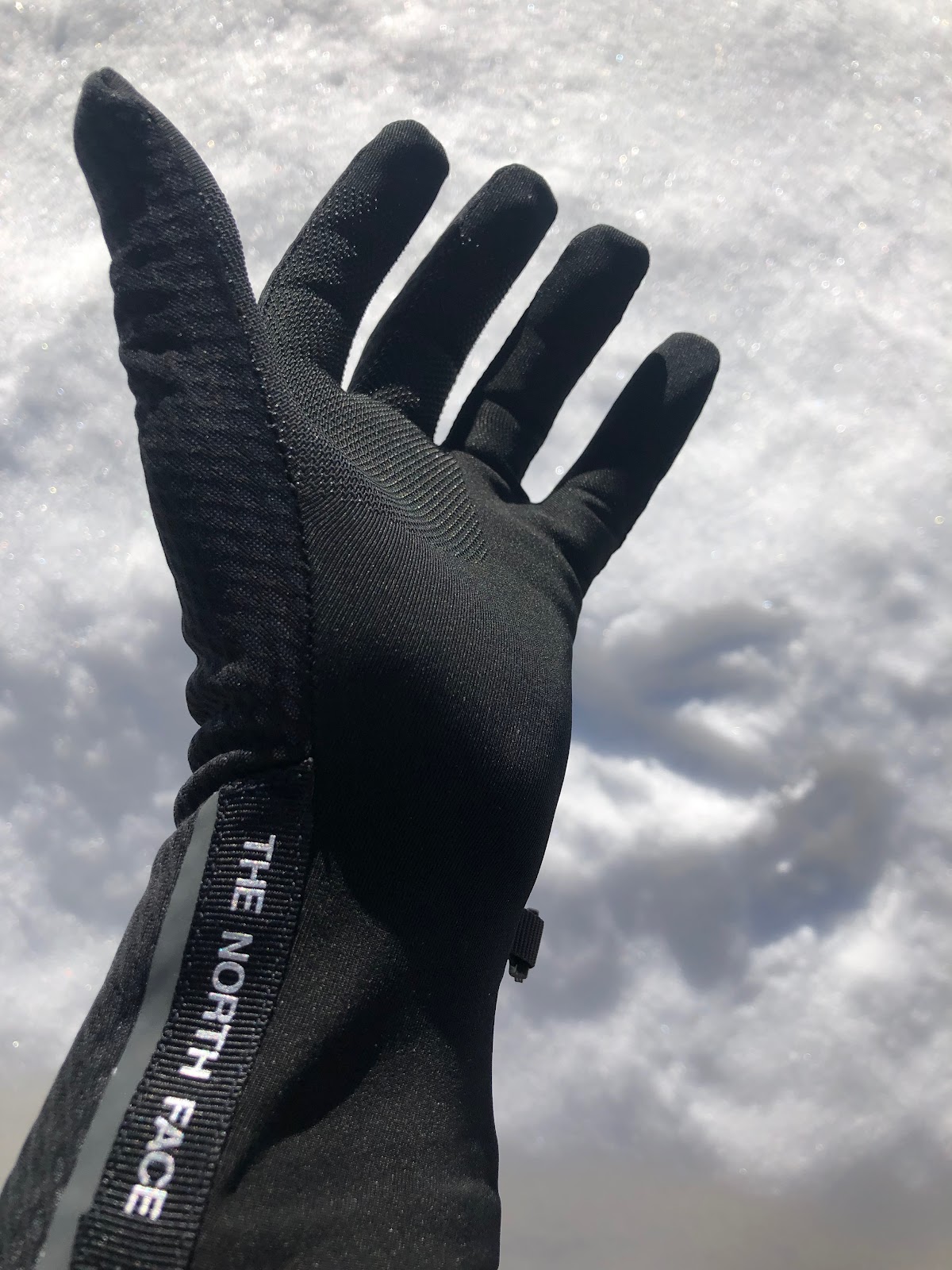 north face softshell gloves