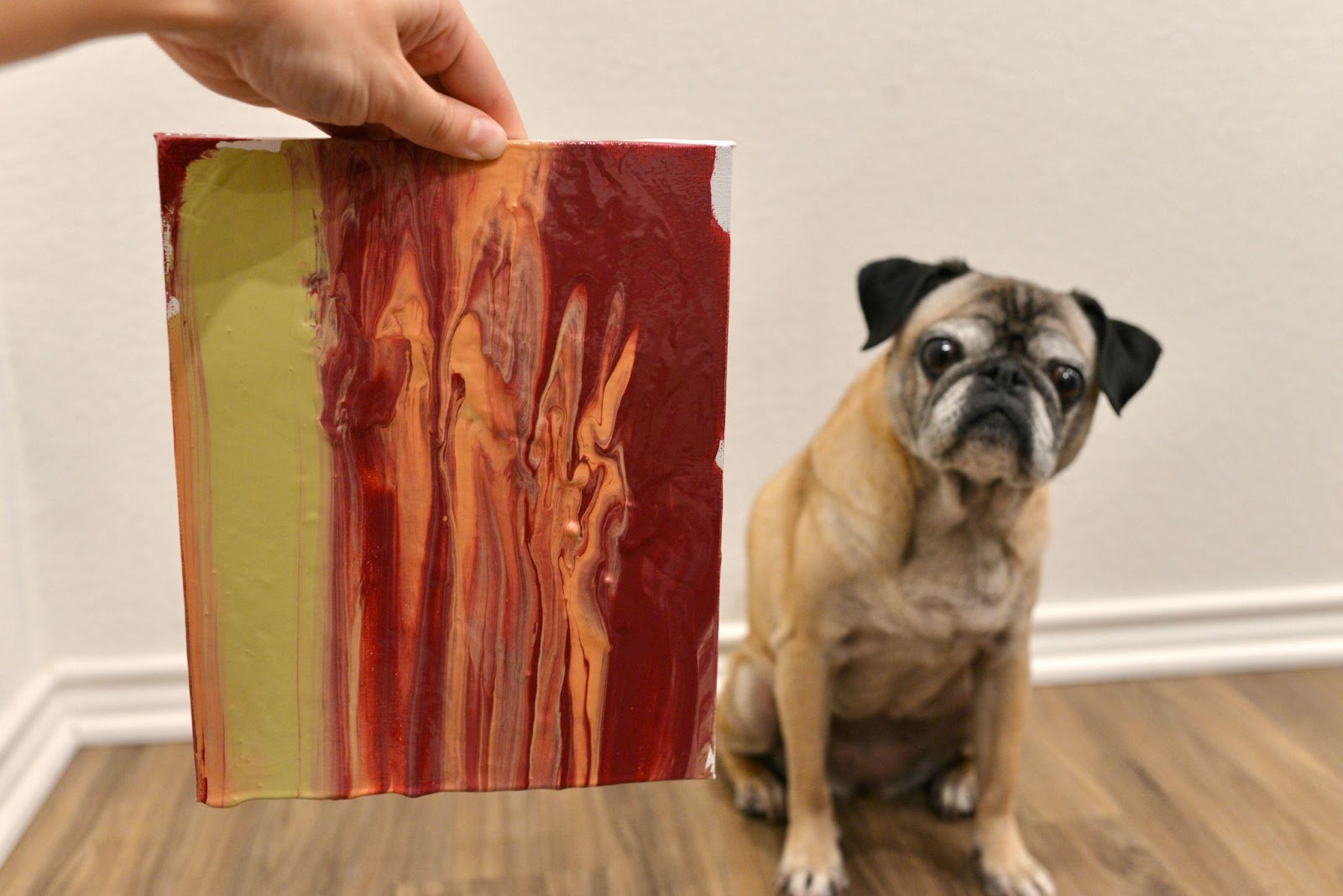 Lick Art How To for You and Your Dog Sundays for Dogs