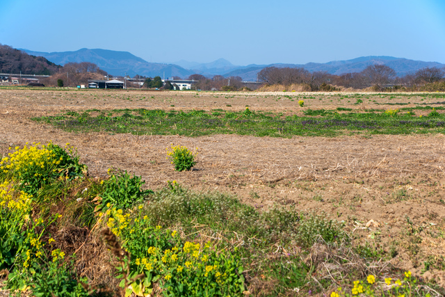 購入もしくは賃貸で農地を確保