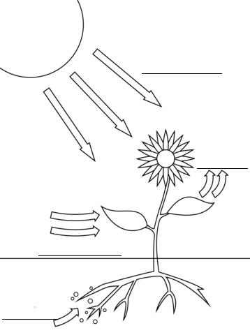 http://www.docenteca.com/archivos/posts/15014167319759.png