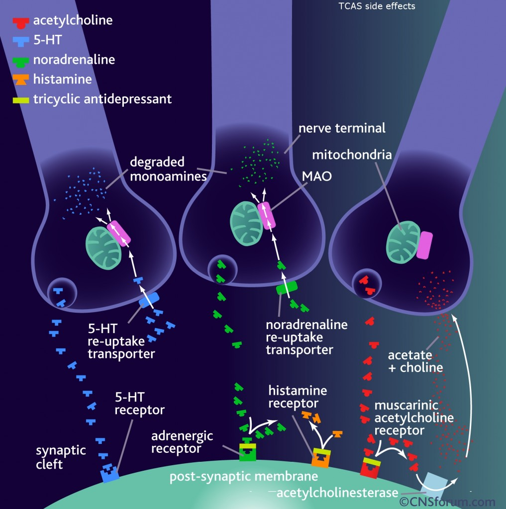 Mechanism of Action in Tricyclic Antidepressants