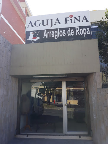 Aguja Fina UIO - Granda Centeno