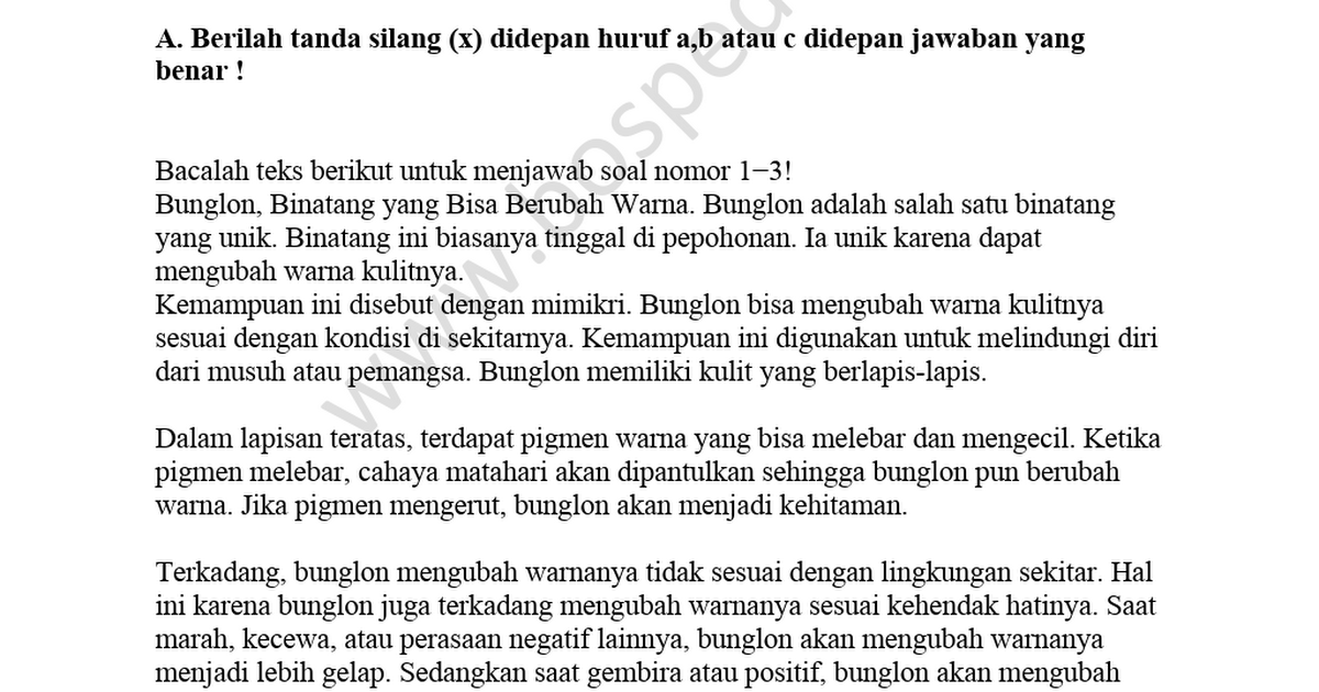 50 Contoh Soal Try Out Uasbn Bahasa Indonesia Kelas 6 Sd Mi Dan Kunci Jawabnya Docx Google Drive