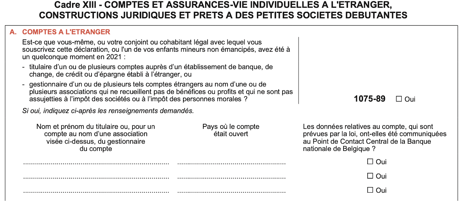Personal Tax return - example of the French version of Box XIII