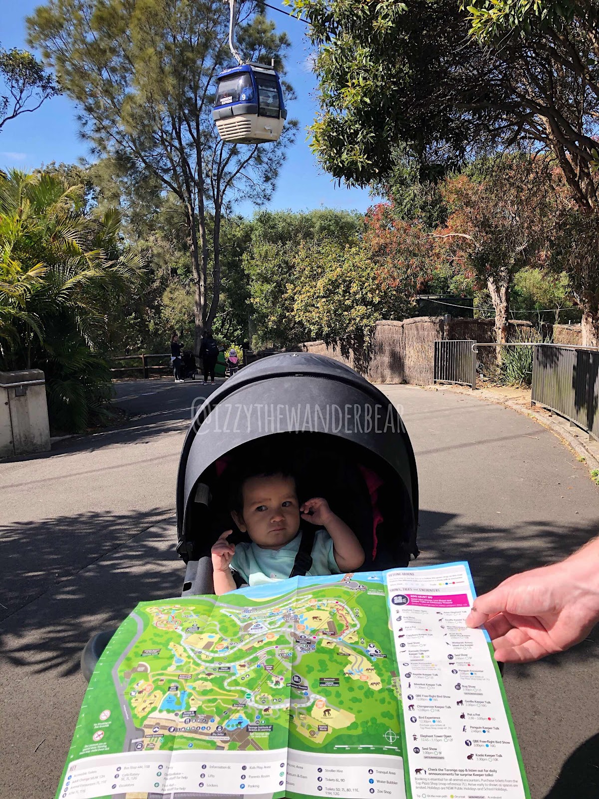 Izzy the Wander Bear : Safari Sky & Torango Zoo