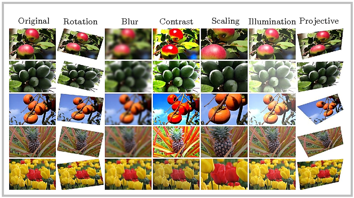 Different variations of fruit images. Same image showed in different qualities, angles and filters.