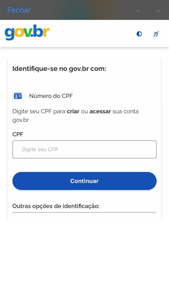 login no Meu INSS com CPF