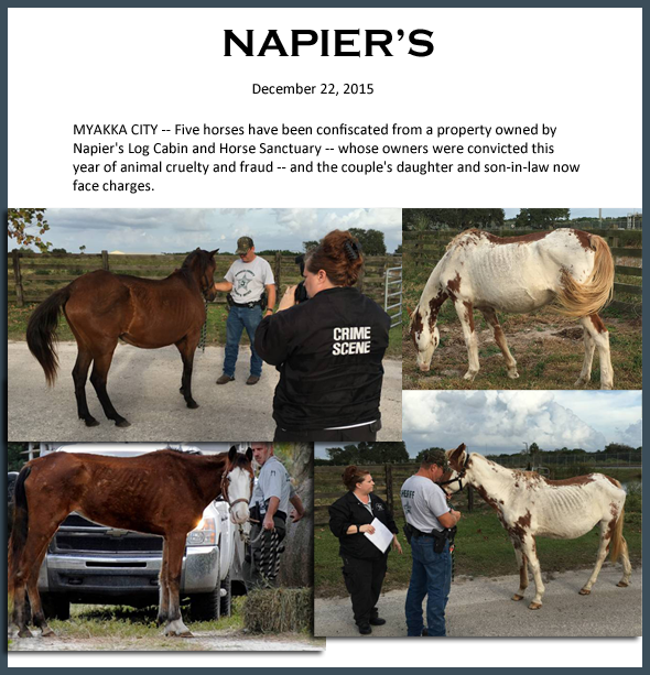 Napier_2015-12-2.png