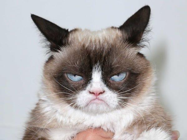 Image result for bad mood cat