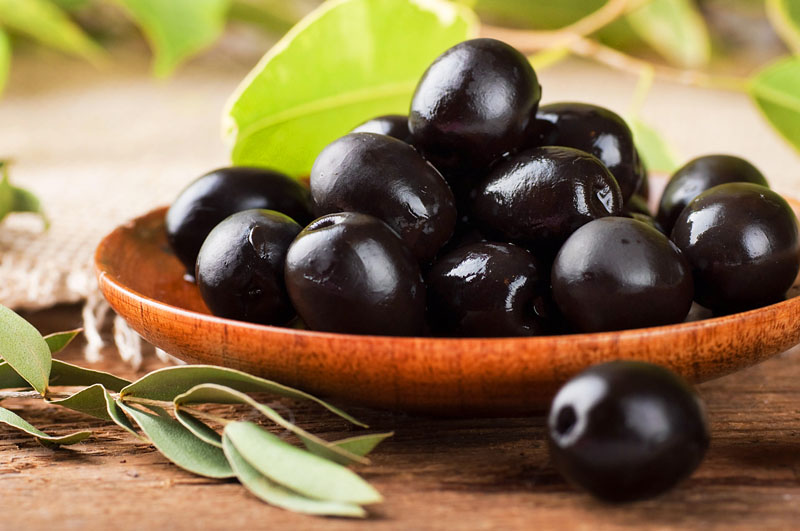 Can dogs eat black olives
