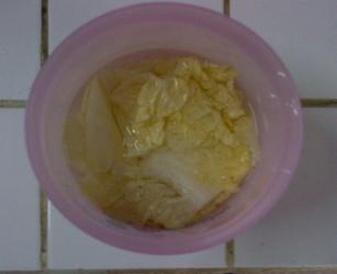 D:\My Documents\bahan kuliah\laporan mikro\foto praktikum\percobaan 7\gambar sawi\sawi hari ke 0 50%.jpg