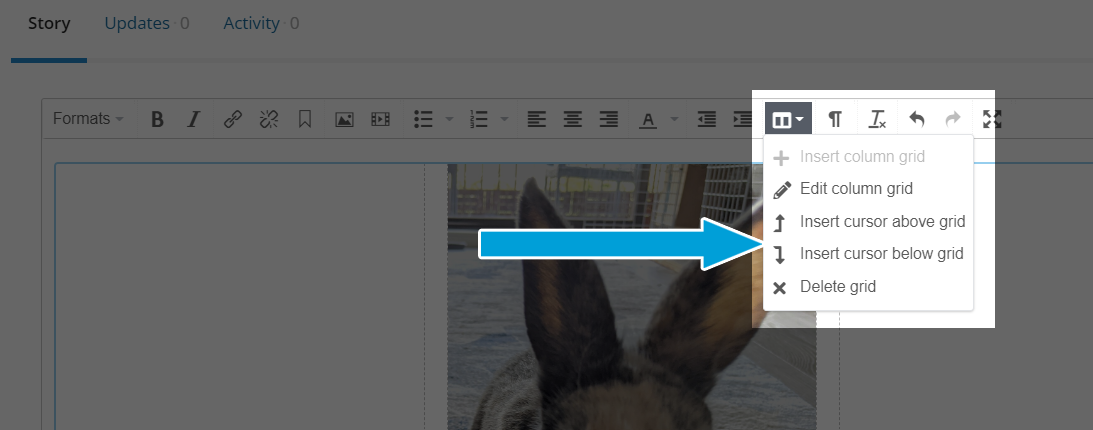 Screenshot of the 'column' dropdown menu in the story editor. The third and fourth options say 'Insert cursor above grid' and 'insert cursor below grid'