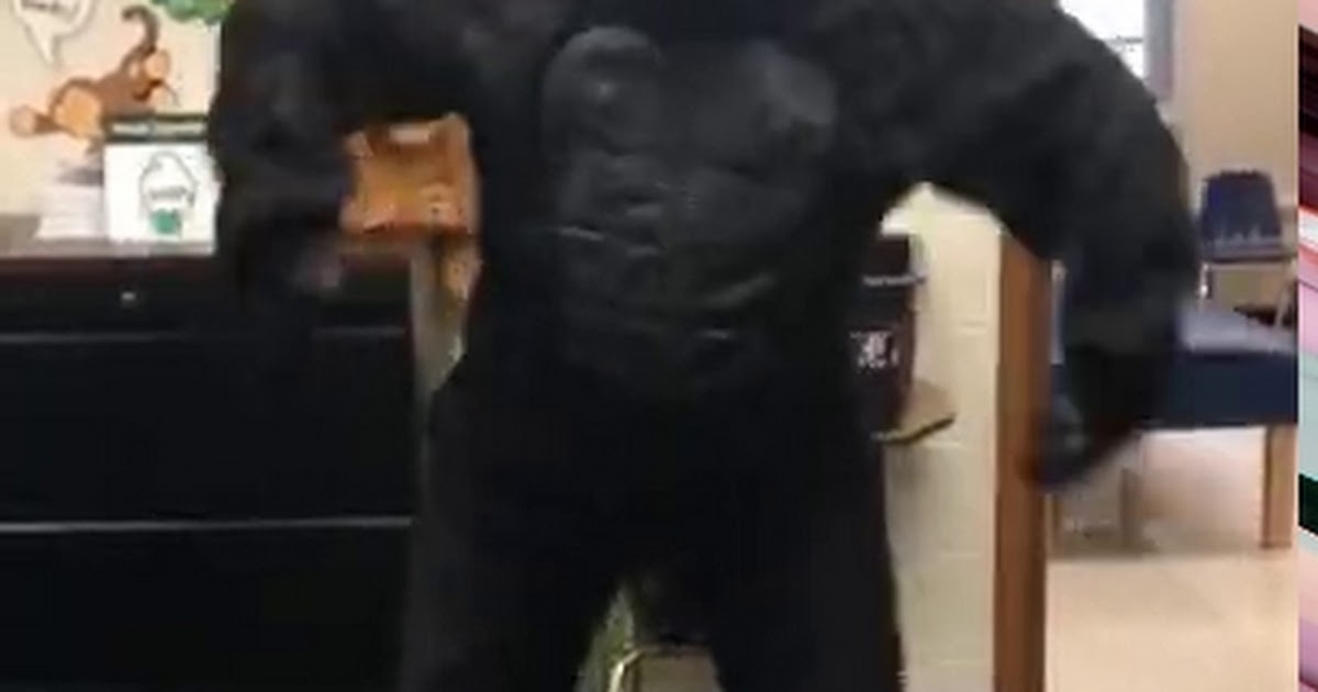 Mr. Stacho as Gorilla 1st day of school.mp4
