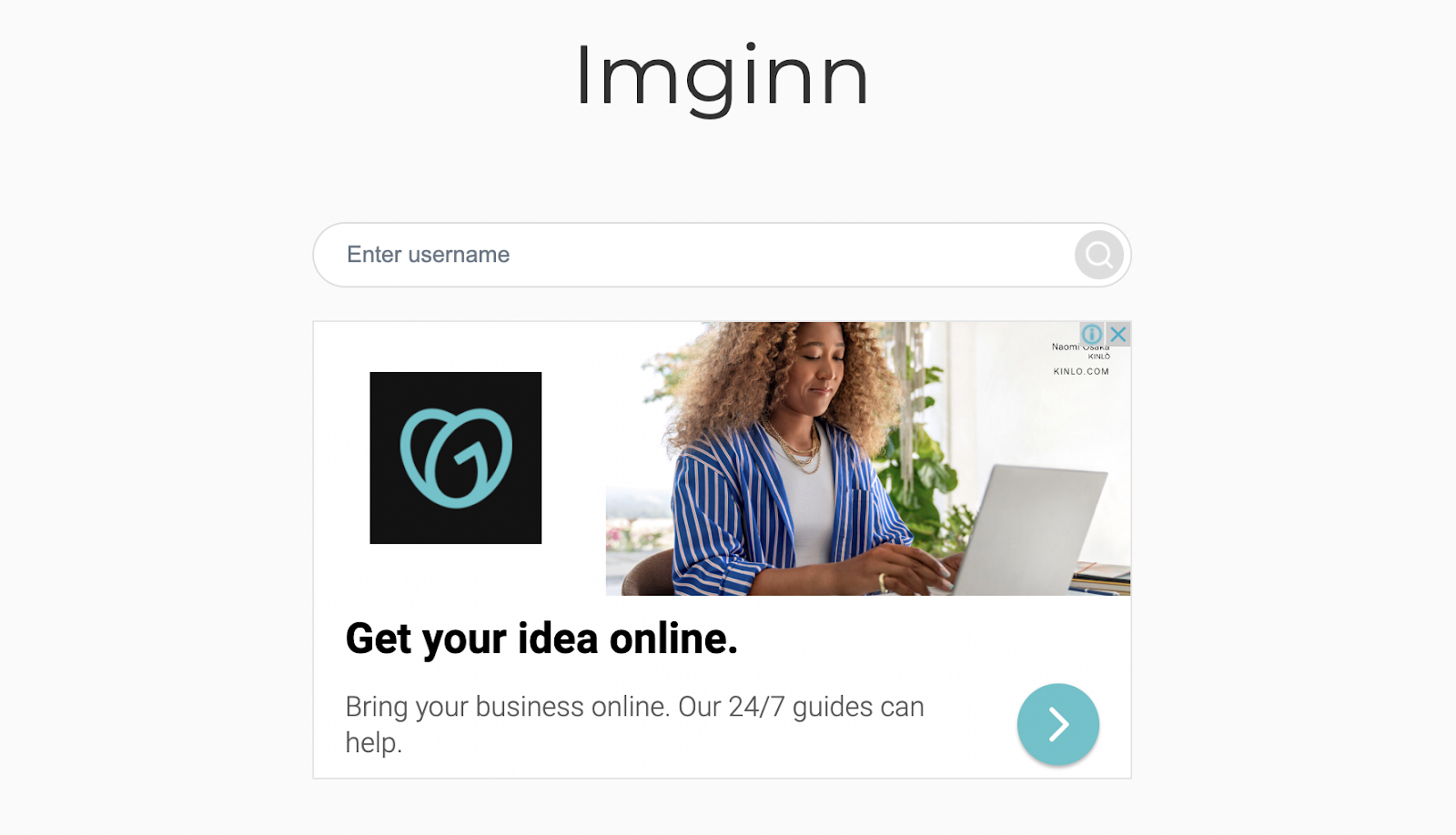 Imginn Interface