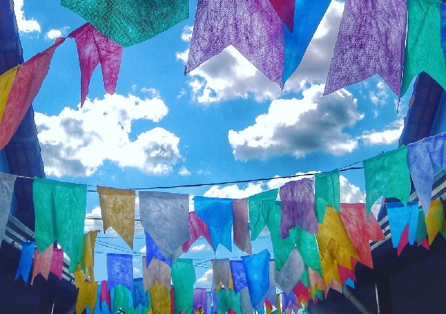 Bandeirinhas de TNT e Seda para Festa Junina