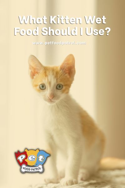 gabapentin for cats cause diarrhea