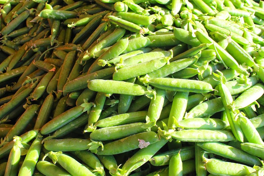 kauppatori market green beans helsinki vegetable