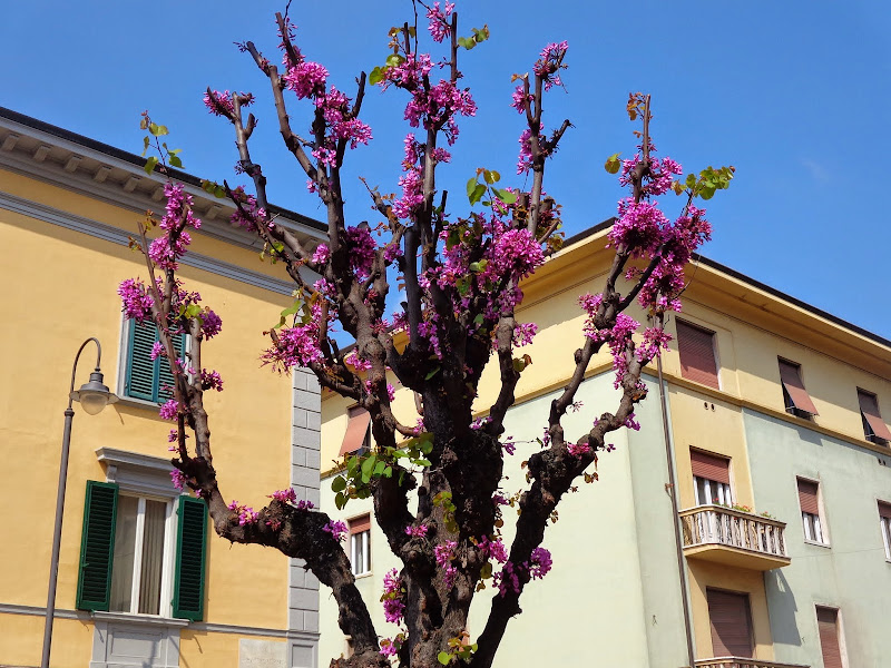 Круиз Azamara Quest, апрель 2014: удивительный кайфой круиз удивительных встреч форумчан