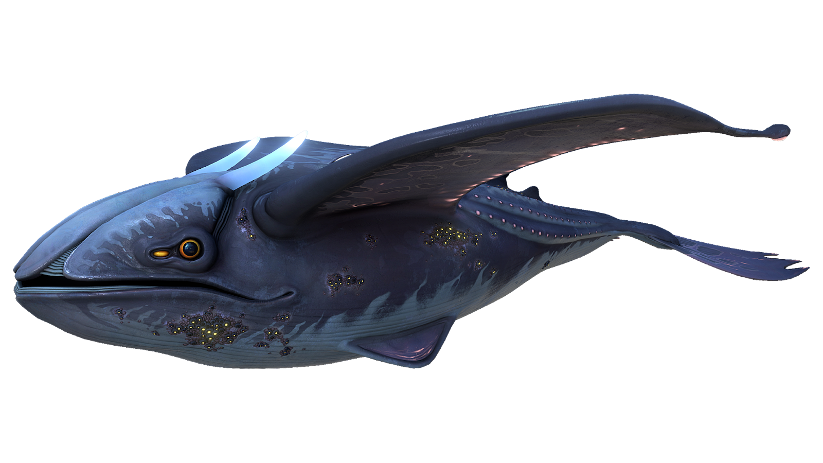 Glow Whale Leviathan