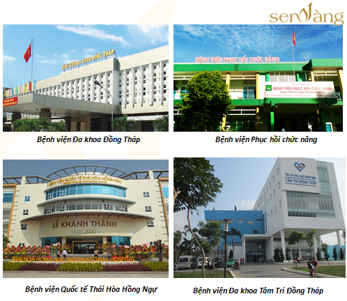 tổng quan tỉnh đồng tháp