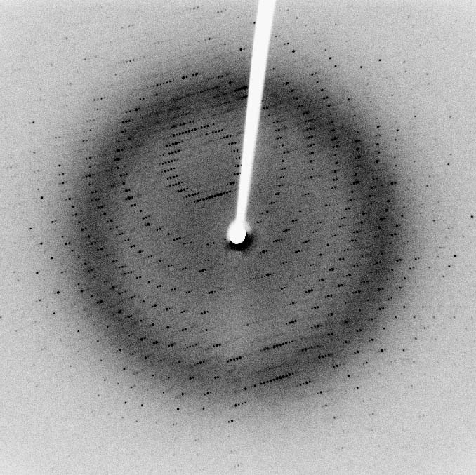 X-ray_diffraction_pattern_3clpro.jpg