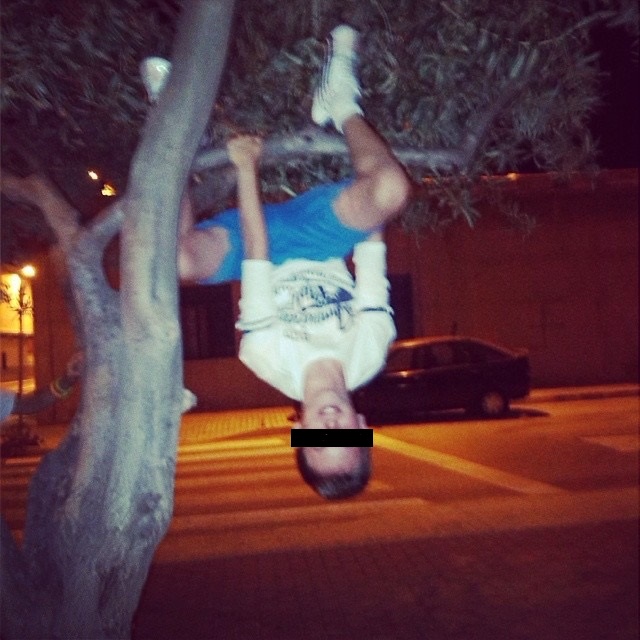 hanging from a tree.jpg