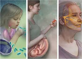 Image result for medical illustrator