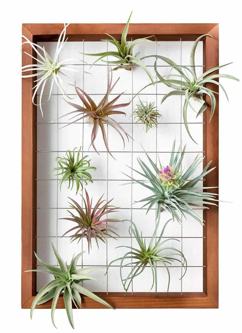 https://cdn.designrulz.com/wp-content/uploads/2019/01/Beautiful-Indoor-Hanging-Wall-Planter-5.jpg