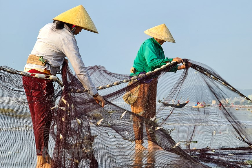 Tour du lịch free & easy Sầm Sơn - Làng chài Sầm Sơn