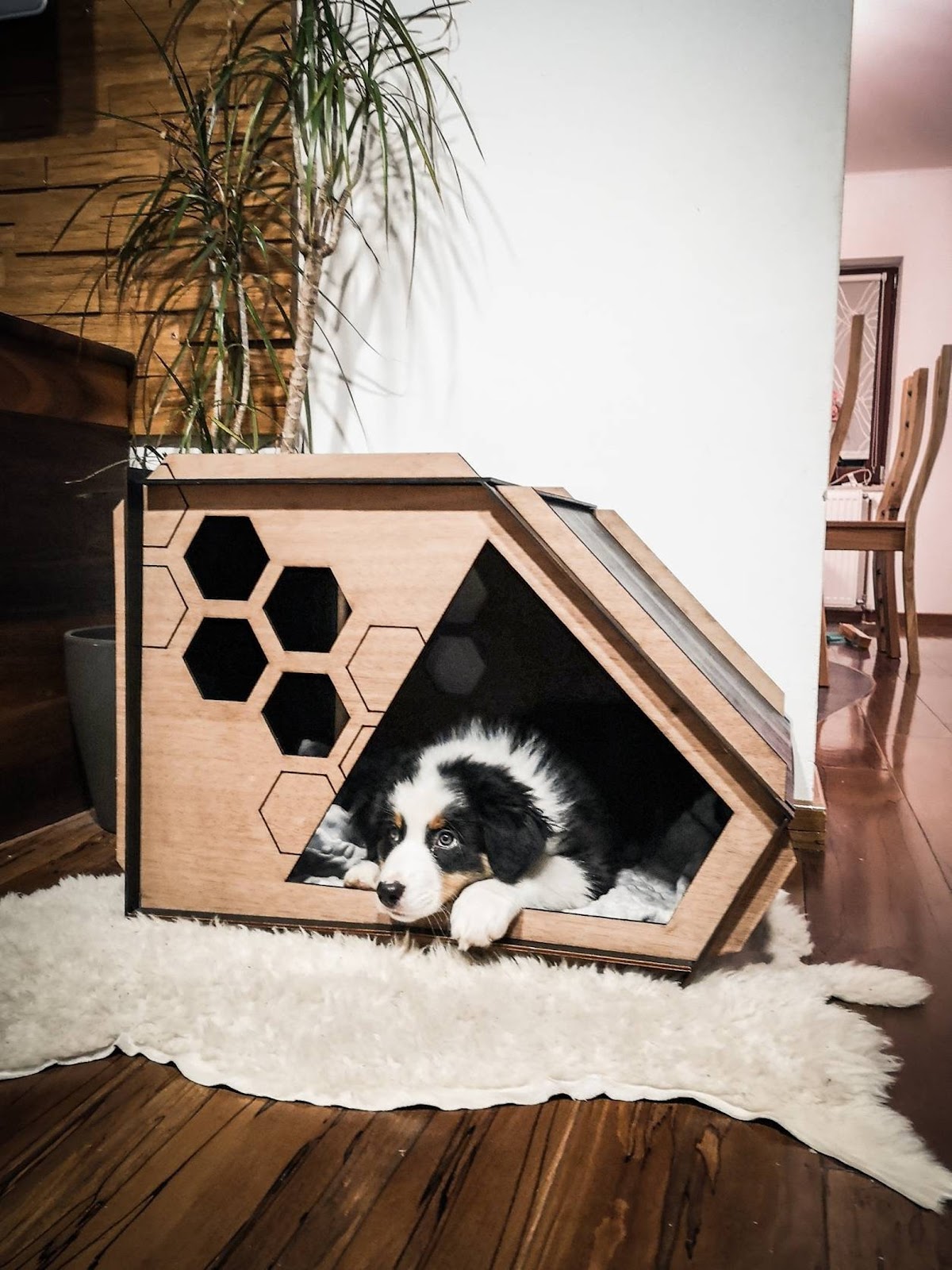 luxury dog houses honeycomb dog house
