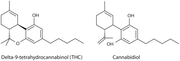 marijuana chemistry 101