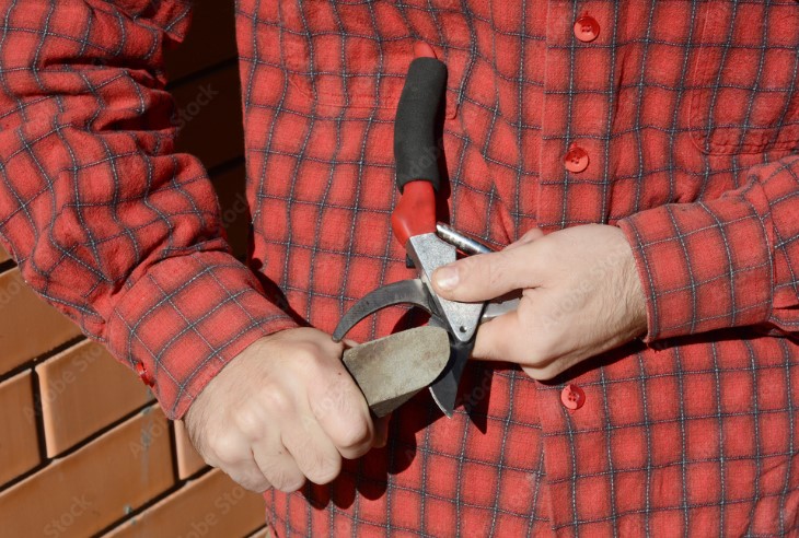 How often Should You Sharpen Garden Shears