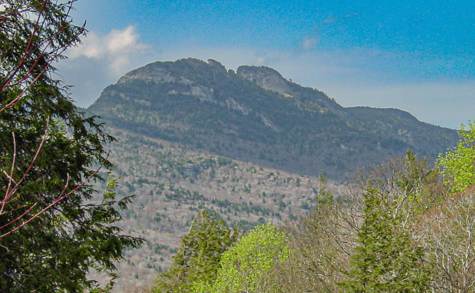 A mountain peak with trees flanking in the foreground. 