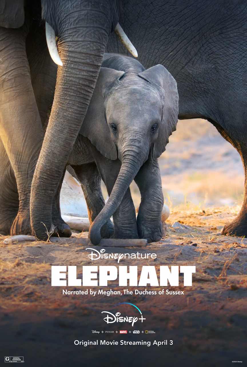 Disney+ honors Earth month with new DisneyNature Films debuting on April 3