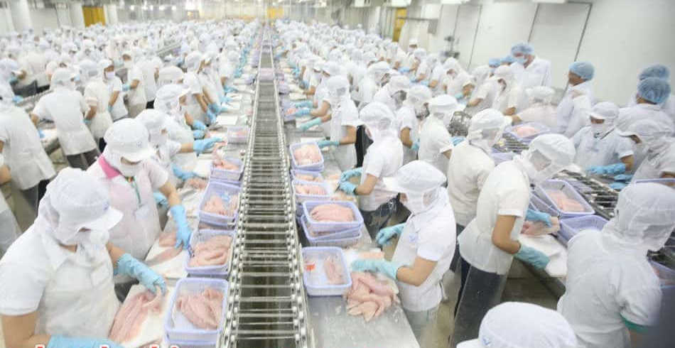 Cung Ứng Lao Động Nhanh Chóng Chỉ Với Một Lần Gọi Tại Quảng Ninh