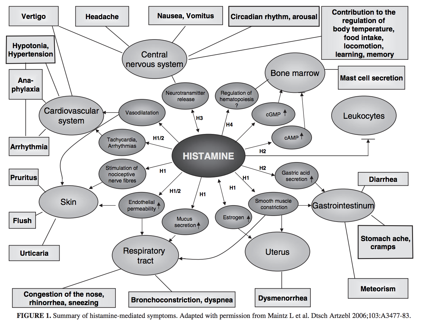 Histamine intolerance and dietary management: A complete review