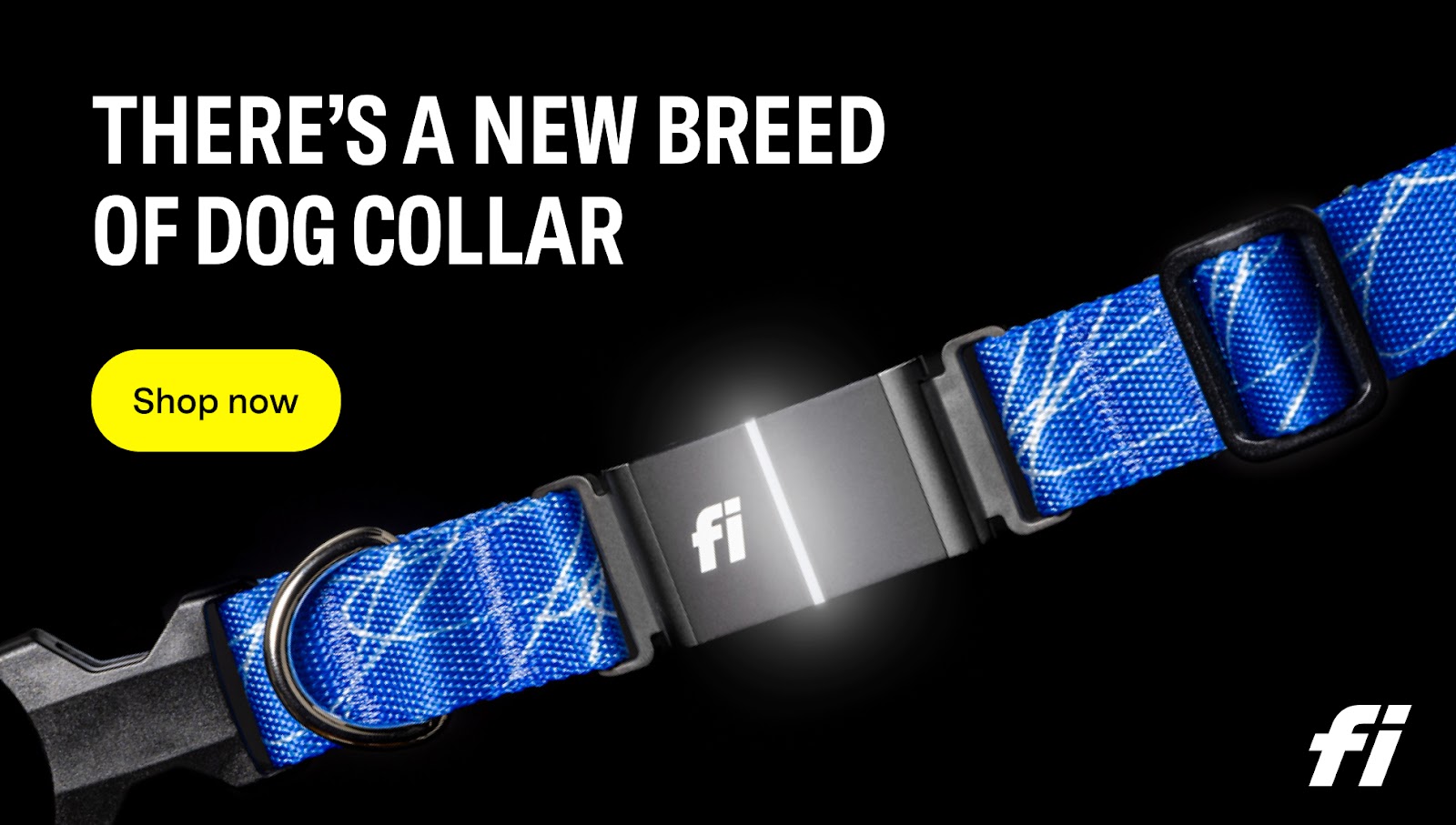 Fi New Dog Collar for dogs