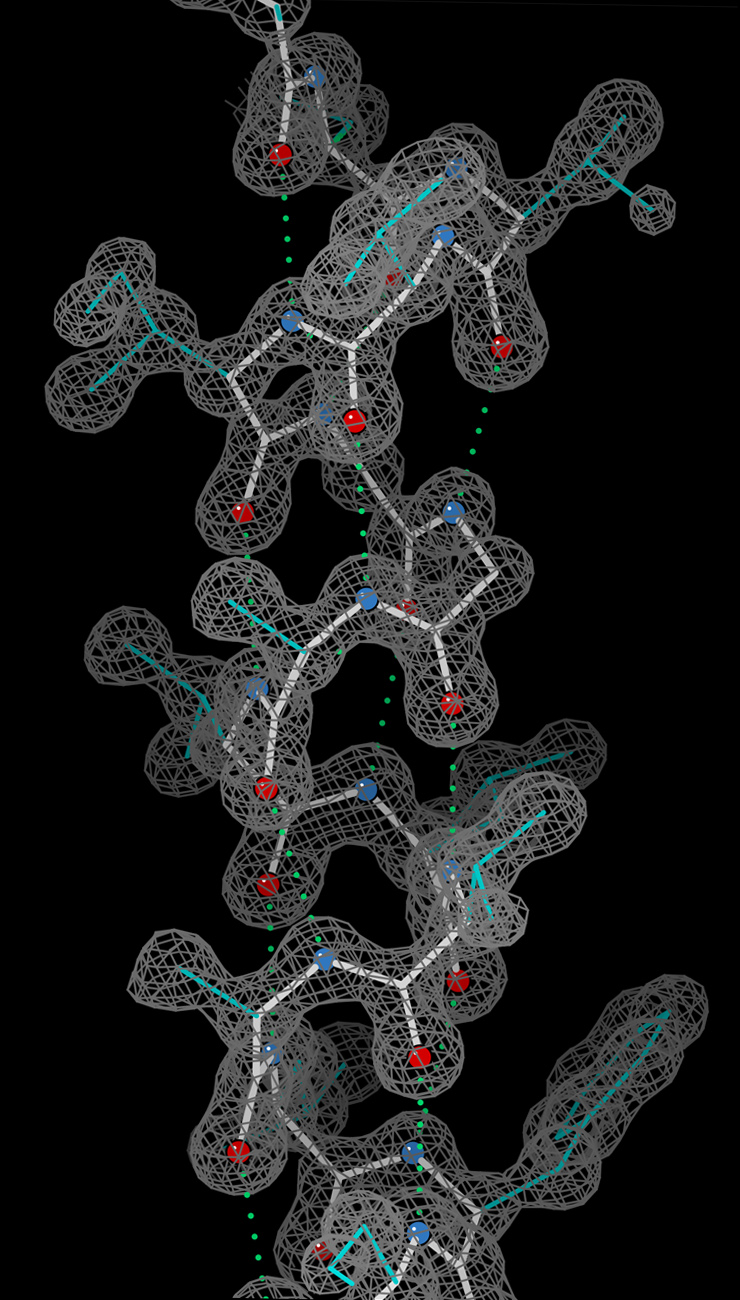 Helix_electron_density_myoglobin_2nrl_17-32.jpg