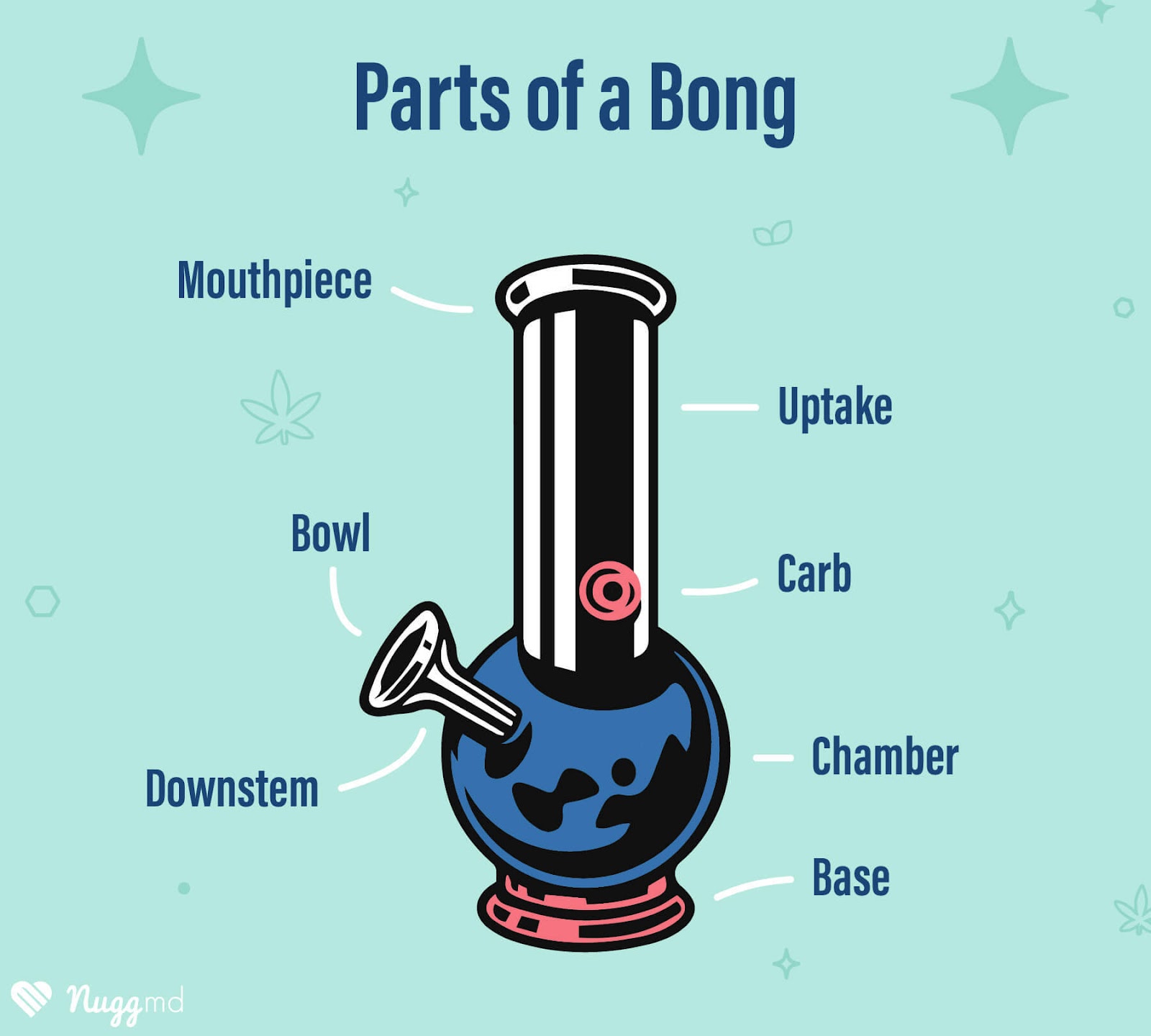 How to Use a Bong: A Step-by-Step Guide for Smoking Weed – The