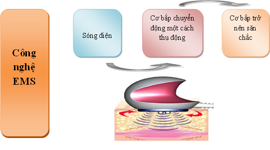 http://beautydevice.vn/upload/images/TR%E1%BB%9CI%20M%C6%AFA.png