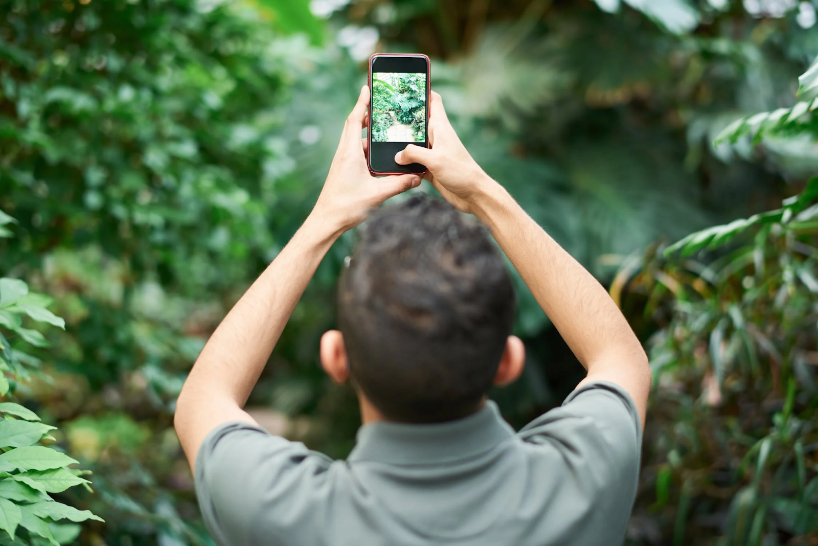 person taking photo of plants with smartphone