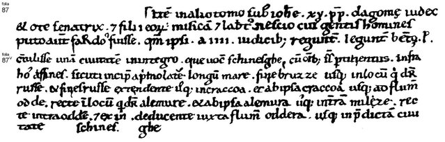 Dagome Iudex. Kopia z Biblioteki Watykańskiej.