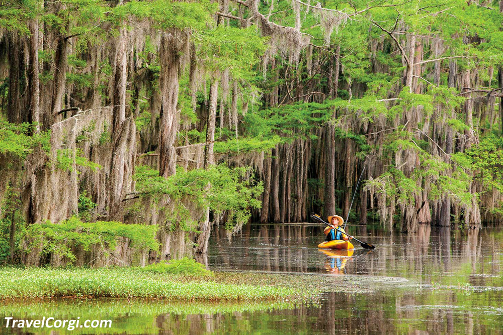 Best Places To Kayak In Texas - Caddo Lake