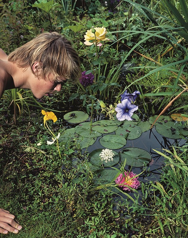 Looking closely at a garden and lily pond. Photo by Collier Schorr.