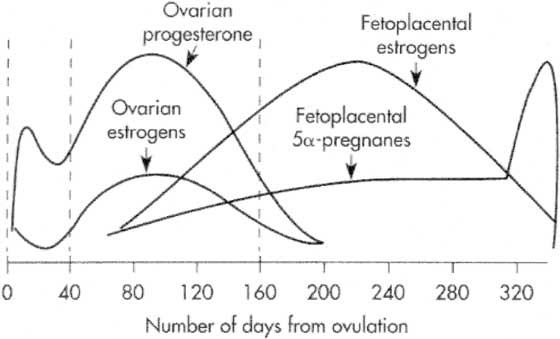 Graphic summary of hormonal changes that occur during equine pregnancy.