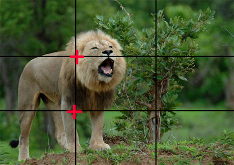 rule of thirds exapmle 3