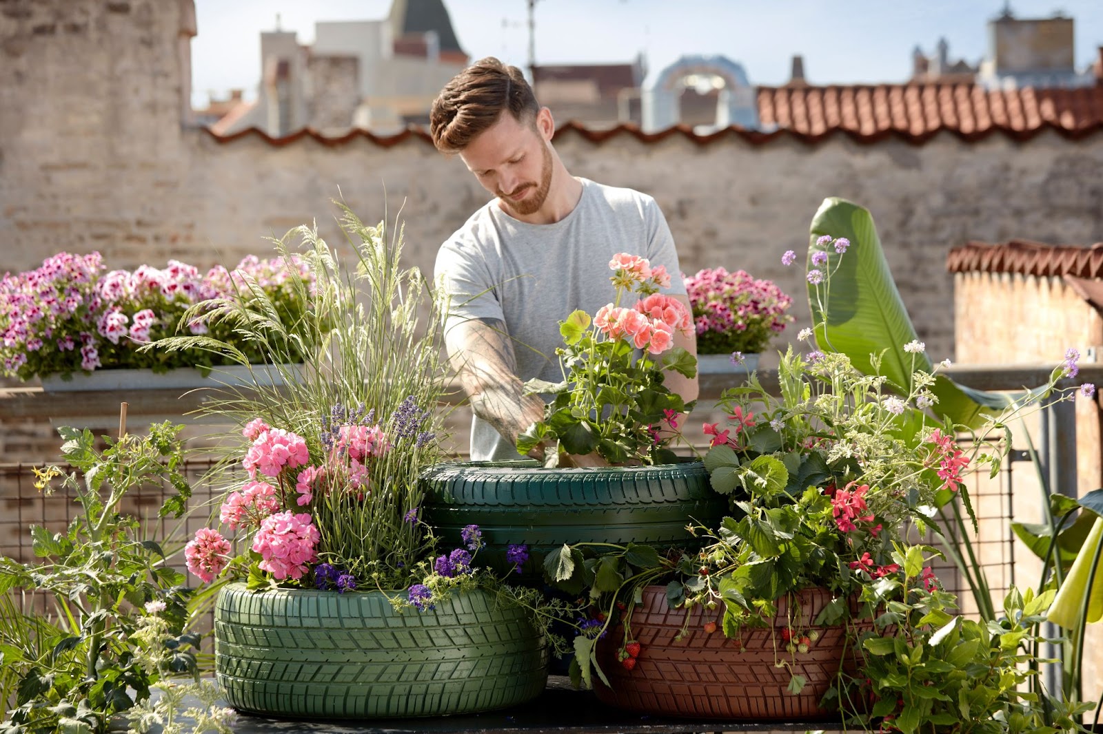 Gardner taking care of flowers