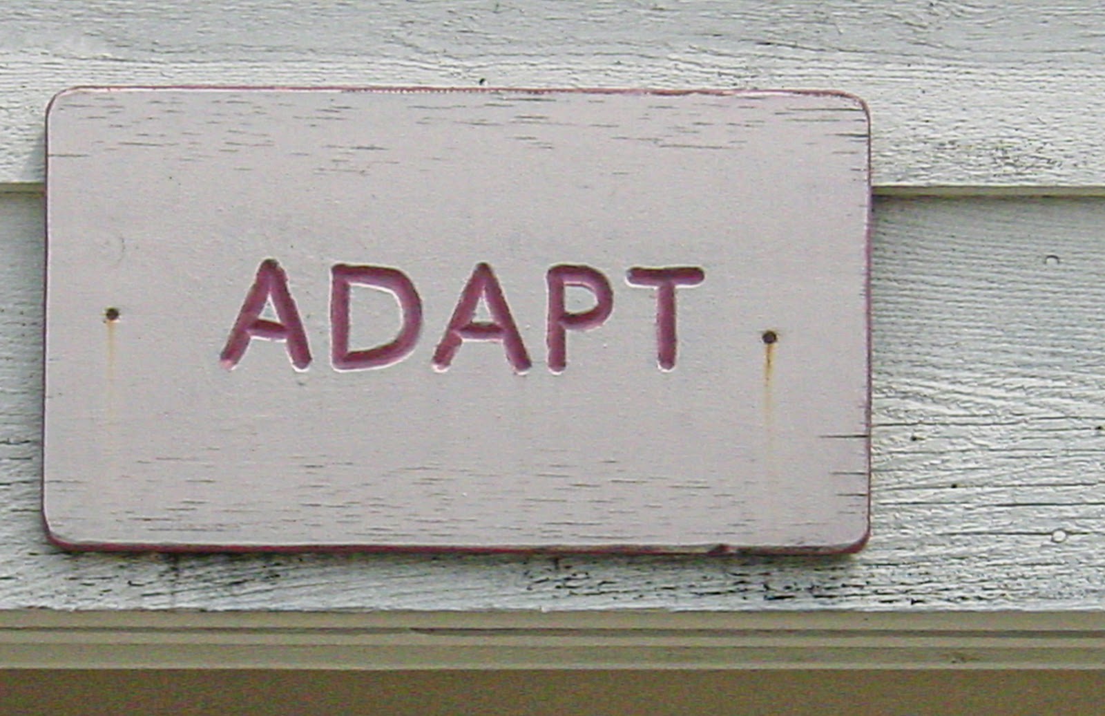 Sign on wooden wall that says: A D A P T 