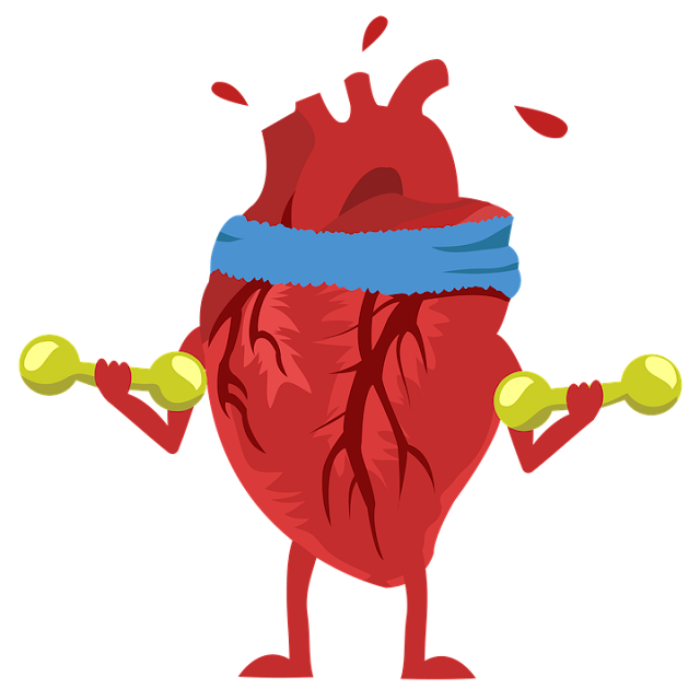  Tips For Making Your Heart Healthy