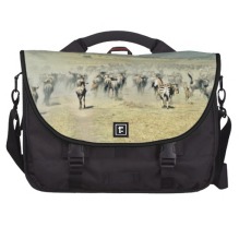 bolsa-de-gnus